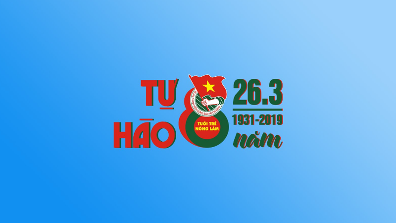 Mẫu background Đoàn Thanh Niên đẹp nhất hình 9