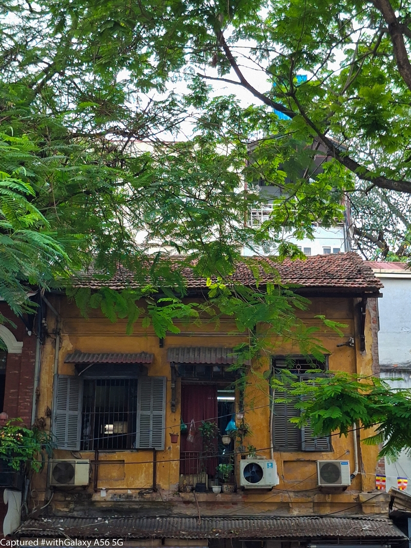 Màu của Hà Nội trong tôi