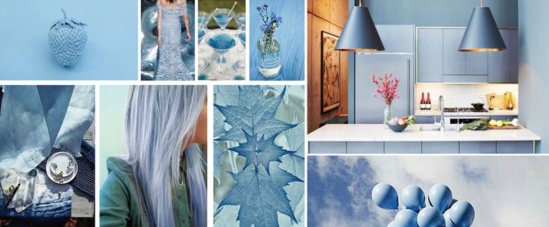 Màu của năm 2026 là gì 5