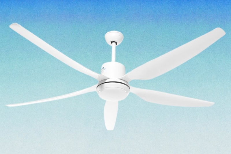 mẫu quạt trần đẹp nhất hiện nay (ảnh 2)