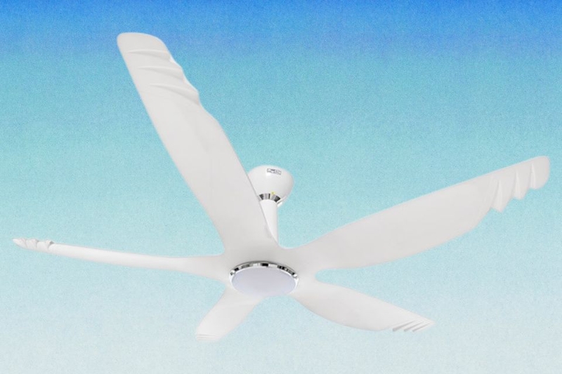 mẫu quạt trần đẹp nhất hiện nay (ảnh 3)