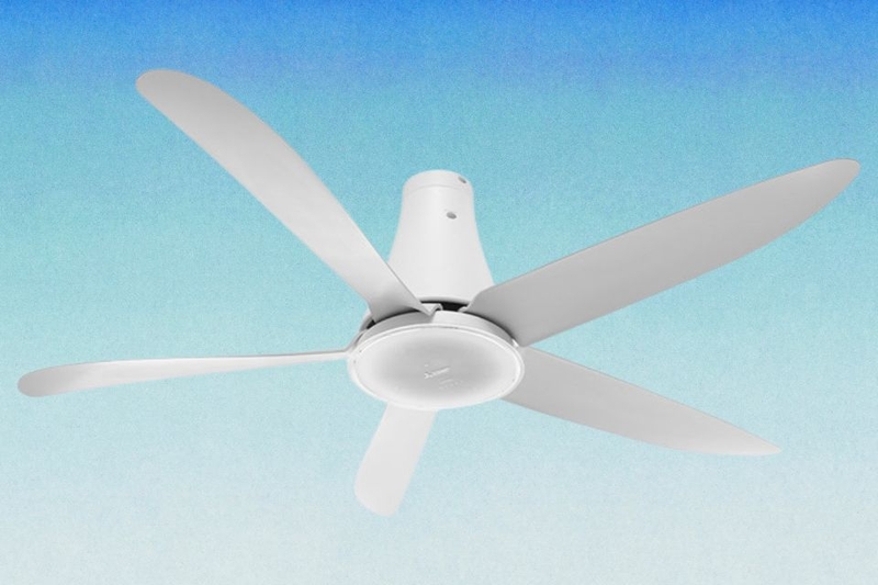 mẫu quạt trần đẹp nhất hiện nay (ảnh 4)