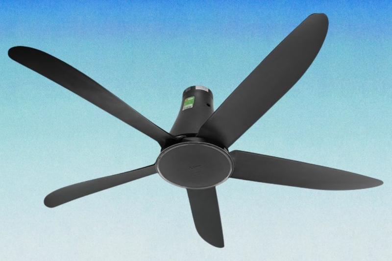 mẫu quạt trần đẹp nhất hiện nay (ảnh 5)