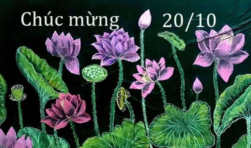 Hình ảnh đóa hoa sen kiên cường