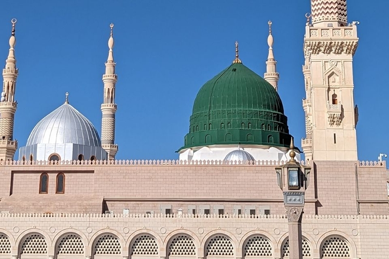 Khám phá màu xanh lá 2