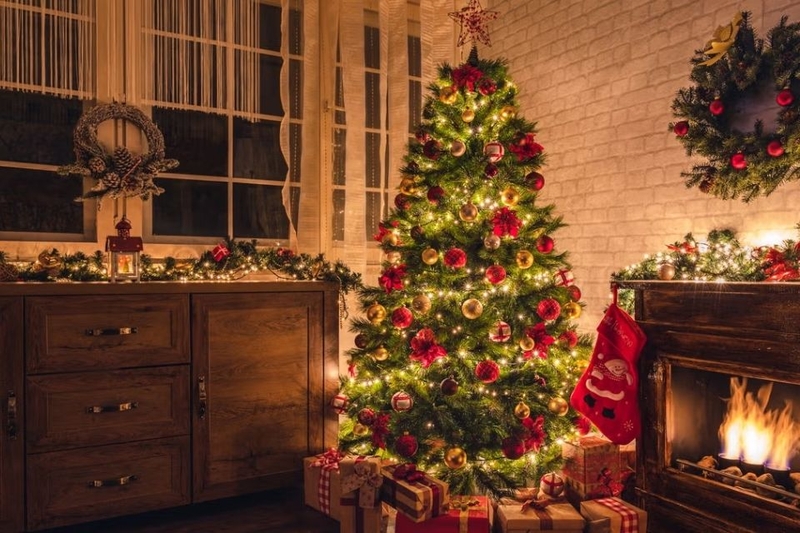 Khám phá màu xanh lá 3