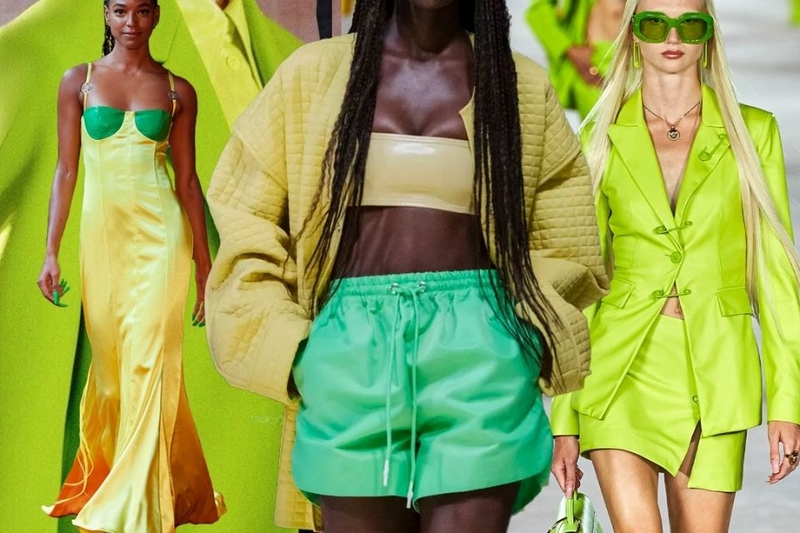 Khám phá màu xanh lá 6