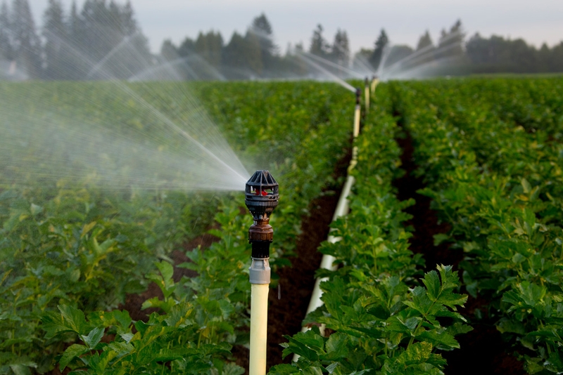 máy bơm nước mini (ảnh 5)