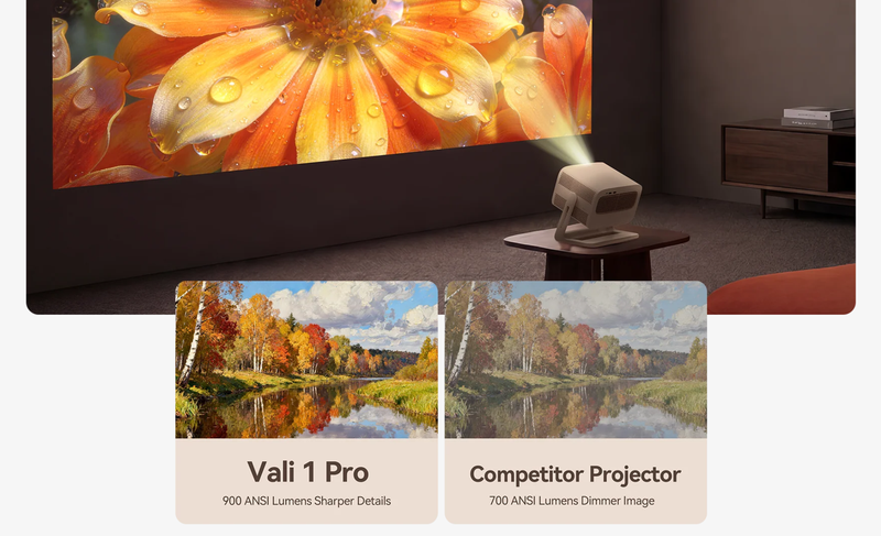 Máy chiếu Wanbo Vali 1 Pro 14