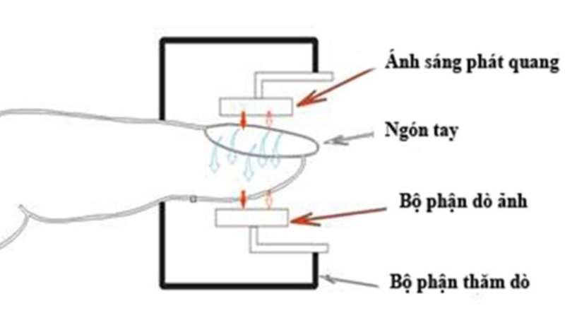 Nguyên lý hoạt động