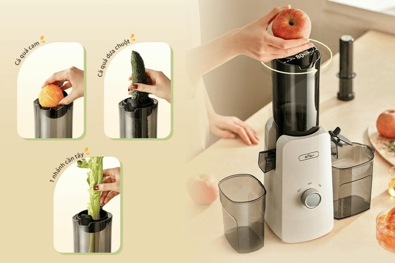 máy ép chậm bear hình 1