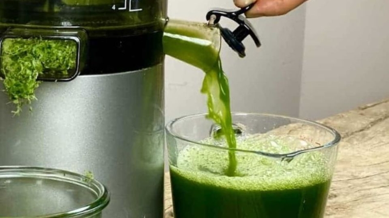 Máy ép chậm có ép được cần tây không? 2