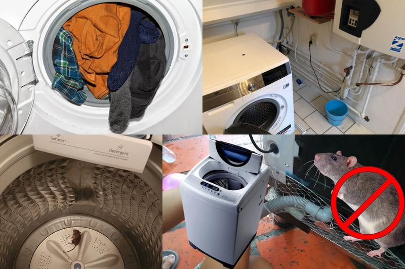 máy giặt bị chạm mạch (3)