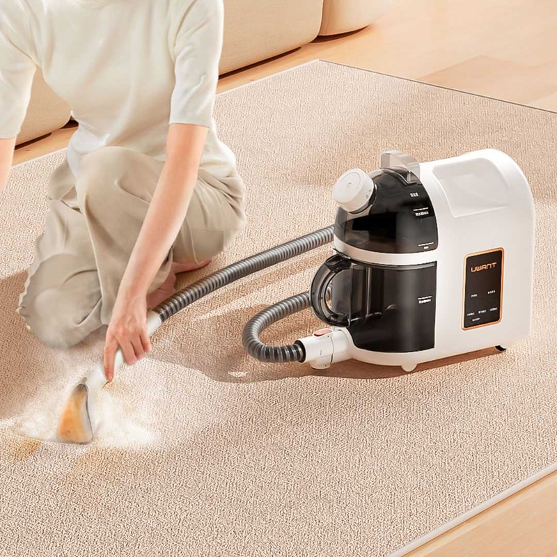 máy giặt thảm 5