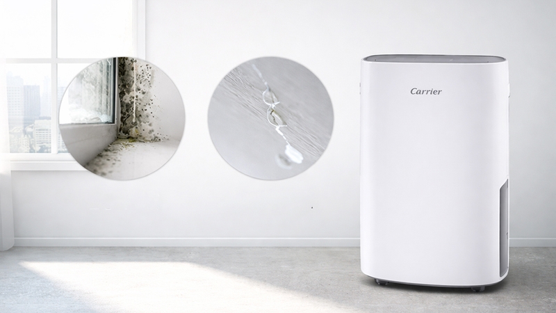 Carrier CDHM-C018LMPB
