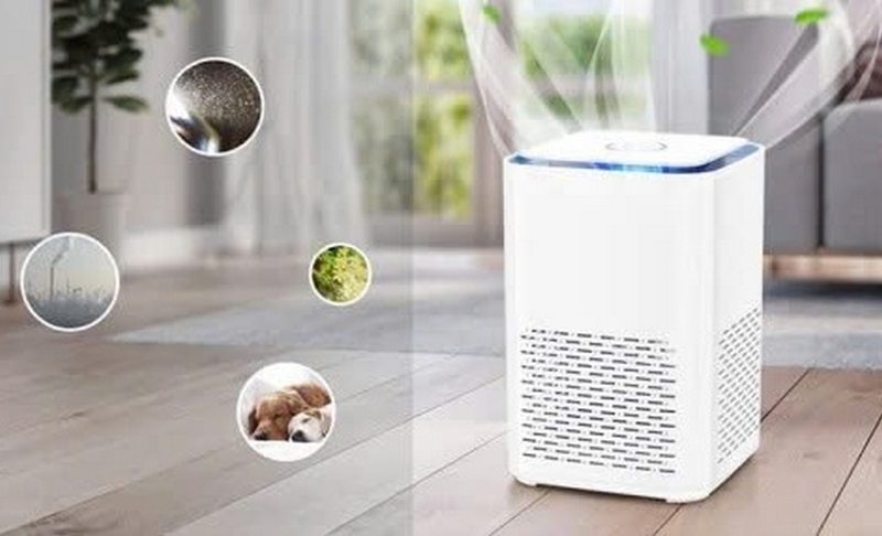 máy hút ẩm bị đóng tuyết ảnh 2