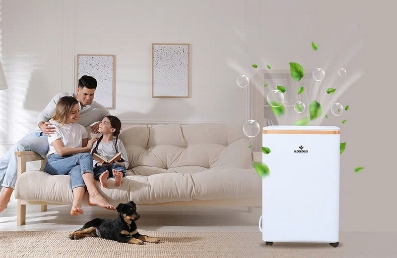 máy hút ẩm bị đóng tuyết ảnh 7