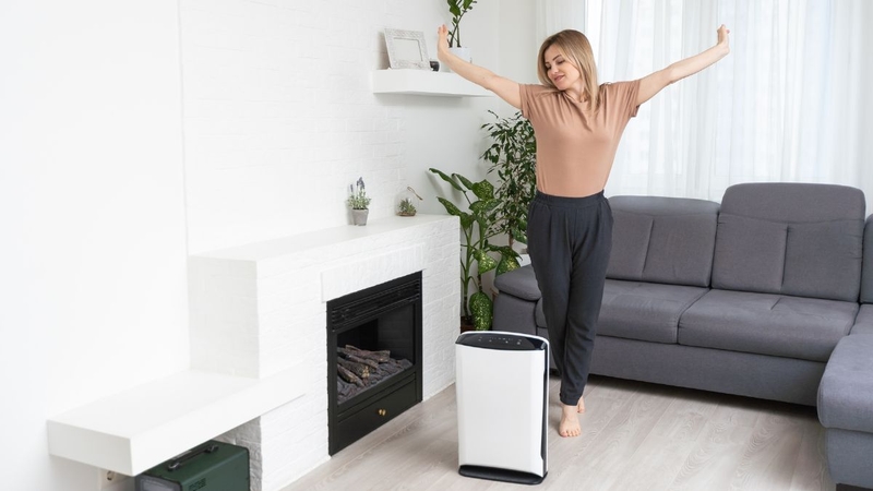 máy hút ẩm có làm mát không - 4