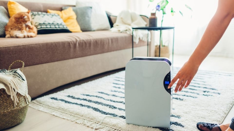 máy hút ẩm kêu to 5