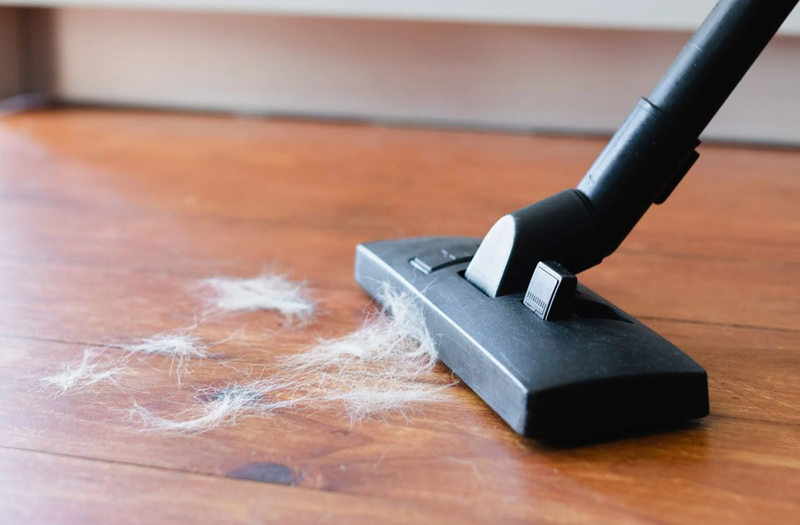 M&aacute;y h&uacute;t bụi bị tắc ống h&uacute;t - h&igrave;nh 1