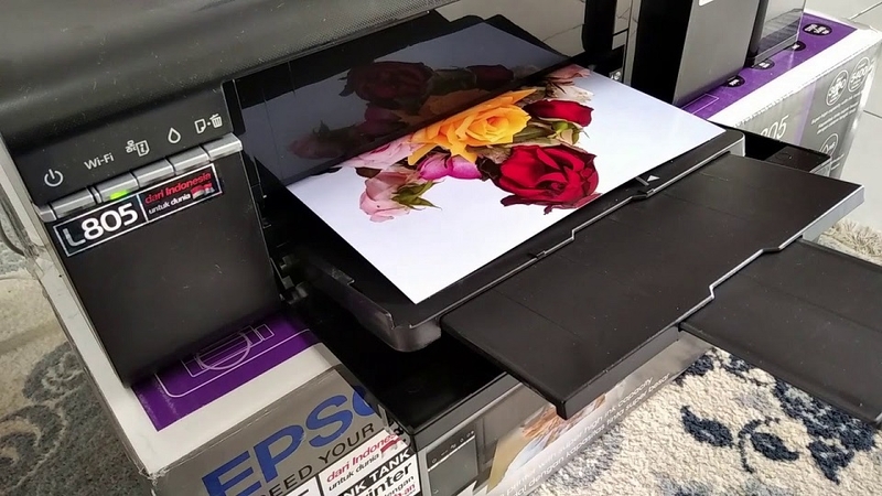 Máy in Epson L805 bị lỗi không nhận giấy