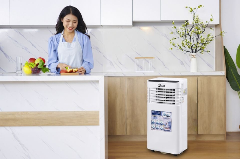 may-lanh-di-dong-fujie-1-hp-mpac7-3.jpg