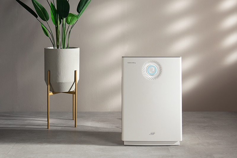 Máy lọc không khí Coway loại nào tốt 2025 - 02