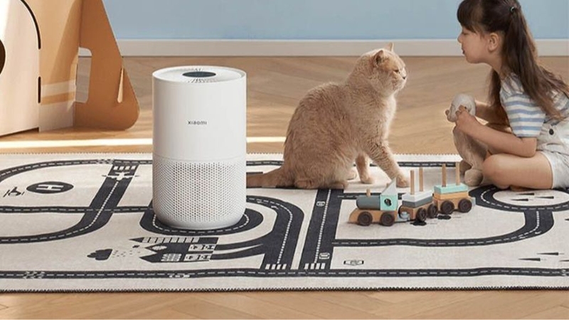 Máy lọc không khí hút lông chó mèo 1