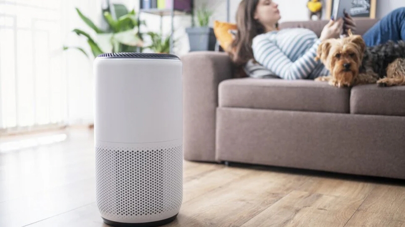 M&aacute;y lọc kh&ocirc;ng kh&iacute; khử m&ugrave;i đem đến trải nghiệm sử dụng hữu &iacute;ch