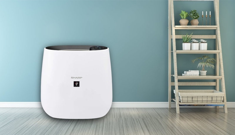 Máy lọc không khí loại nào tốt 2025 4