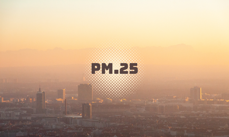 bui min pm2 5