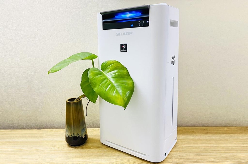 Máy lọc không khí tạo ẩm