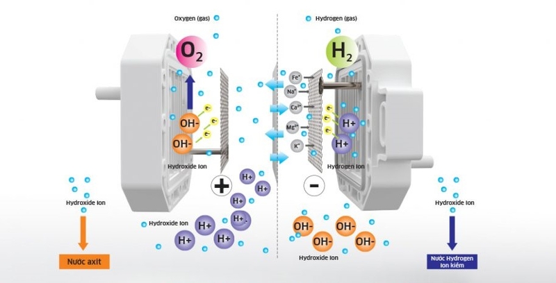 Máy lọc nước điện phân (ảnh 2)
