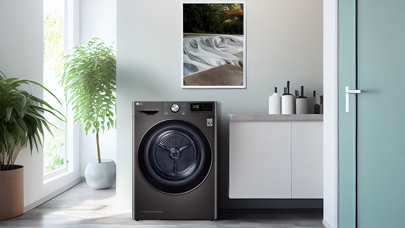 Máy sấy quần áo LG 9 kg 6