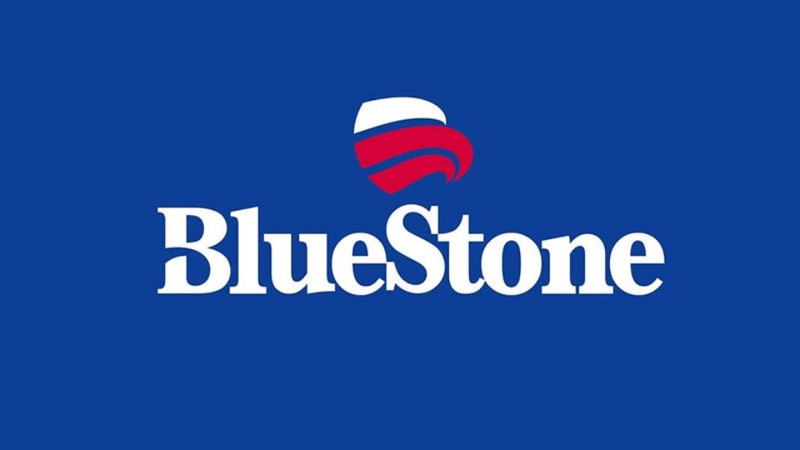 Máy xay sinh tố Bluestone có tốt không 1