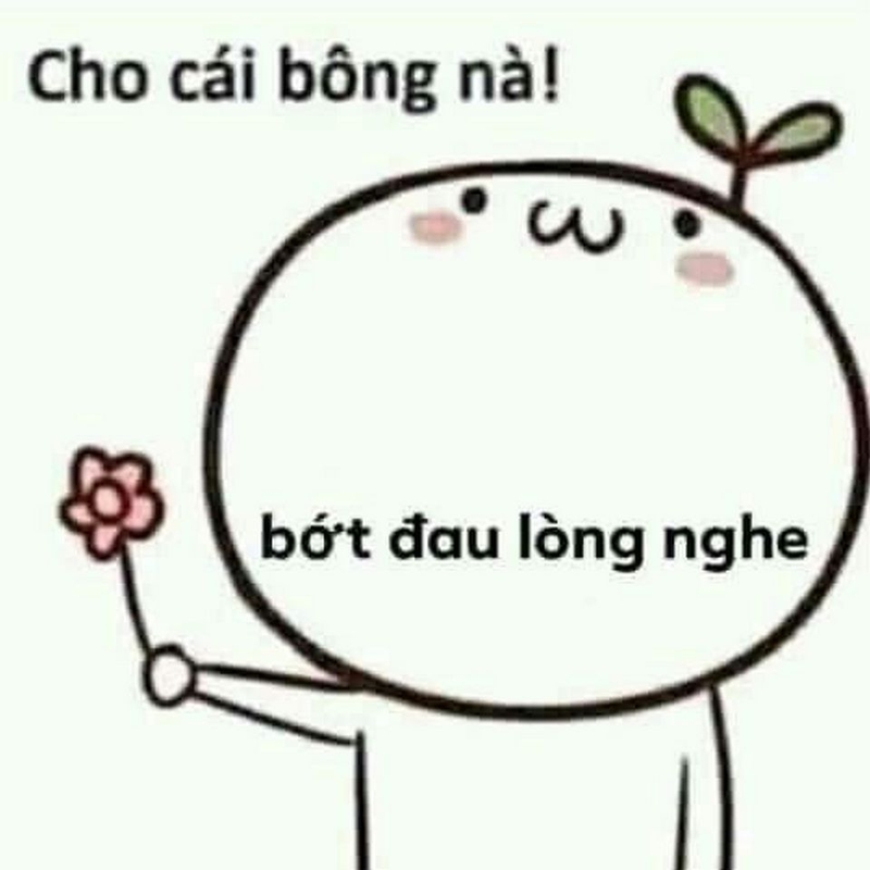 Giới thiệu sơ lược về các mẫu meme an ủi