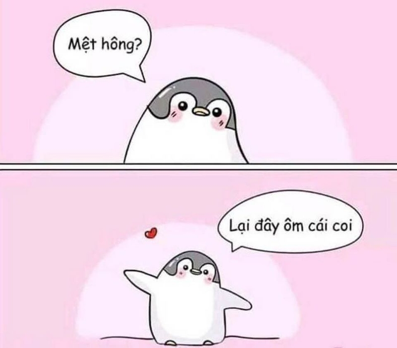Giải tỏa tâm trạng với meme hài hước