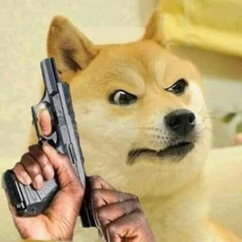 Meme cầm súng hình chó với biểu cảm nguy hiểm