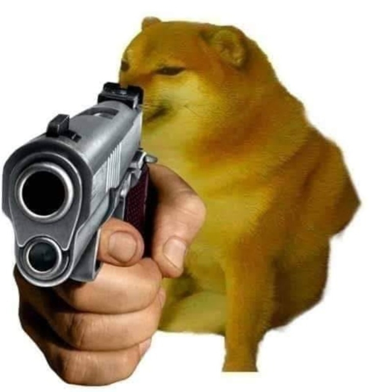Meme phù hợp với những ai yêu thích chó