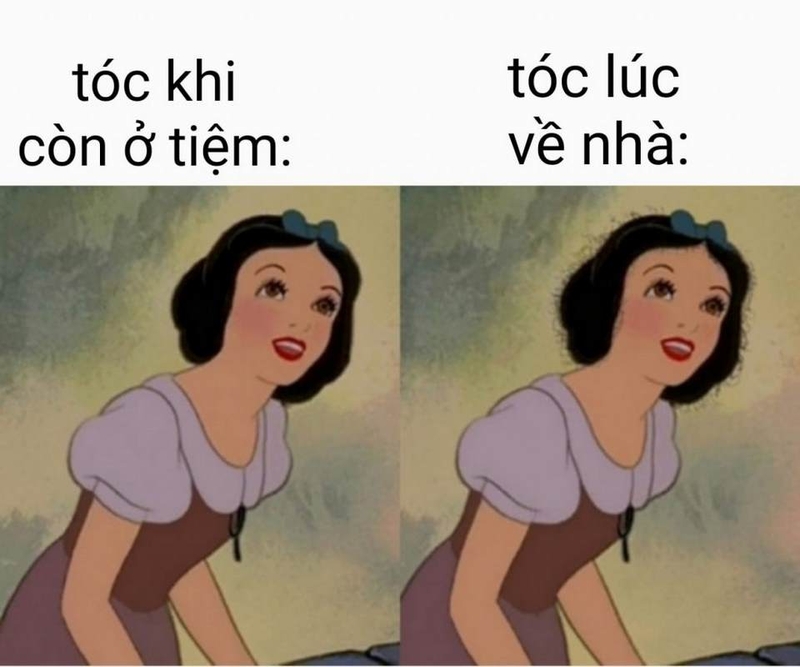 15+ ảnh meme chê cực thú vị dành cho những ai yêu thích thế giới meme ...