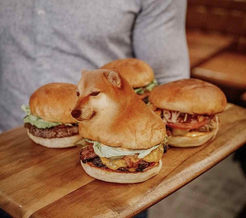 Meme Shiba Inu (Cheems) nổi tiếng trên toàn thế giới