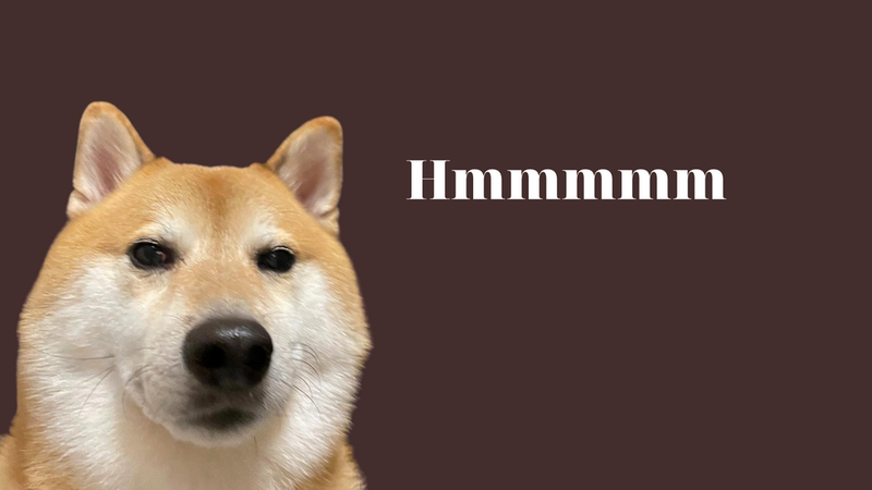 Các loại meme chó được chia sẻ trên nhiều nền tảng mạng xã hội