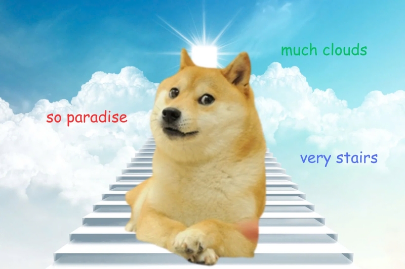 meme chó Shiba-27.jpg