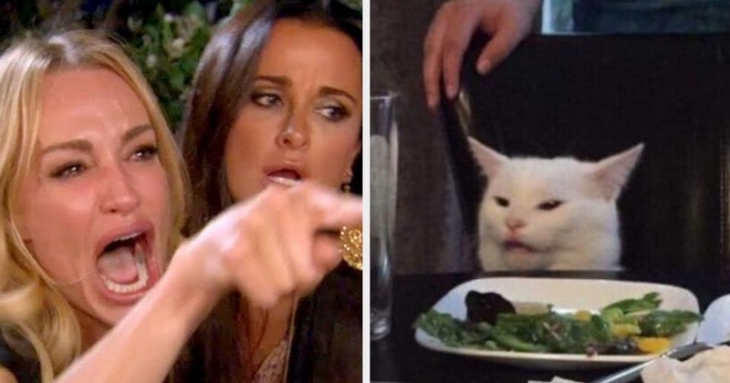 Những trường hợp thường dùng meme chửi