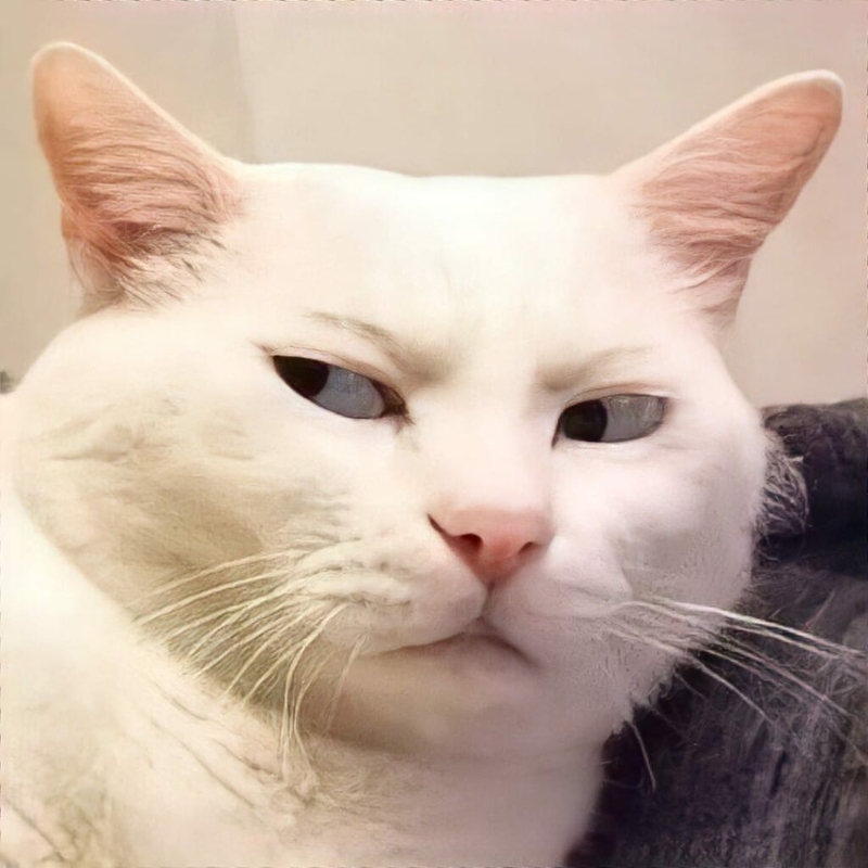 meme đánh giá (ảnh 9)