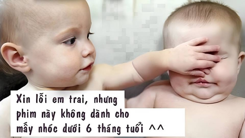 Mỗi loại meme đều có ý nghĩa riêng