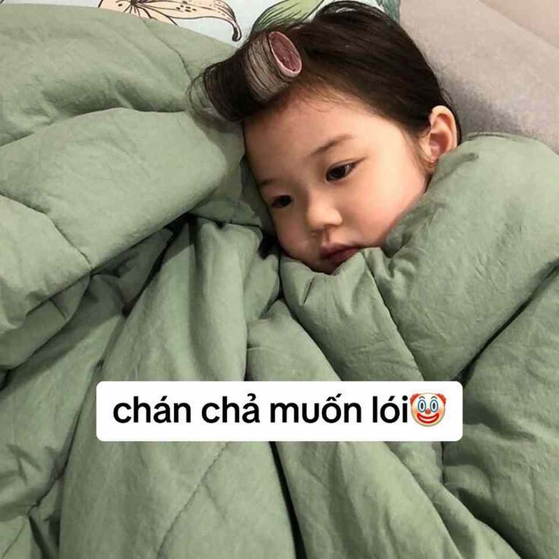 Chiêm ngưỡng các mẫu meme hết sức cute