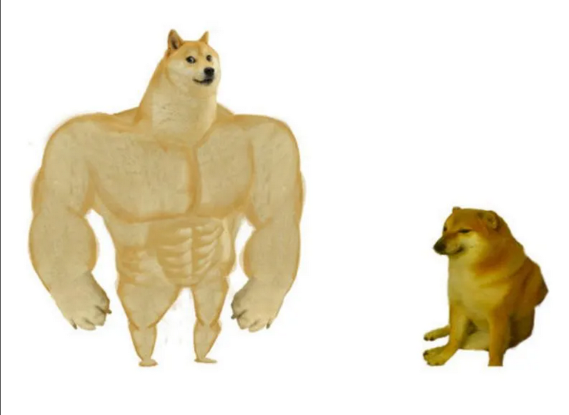 Cười ngả nghiêng với loạt ảnh meme ấn tượng