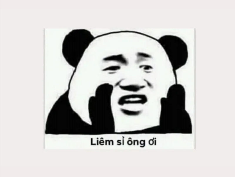 Loạt ảnh gây cười mà bạn không nên bỏ lỡ