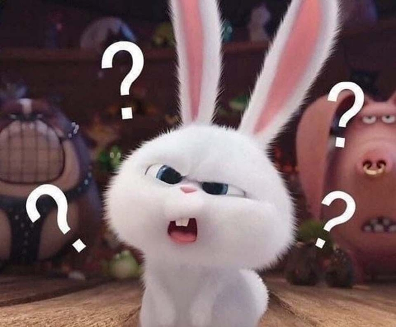 Giới thiệu các mẫu meme hỏi chấm hài hước, thú vị, khiến người xem cười ...